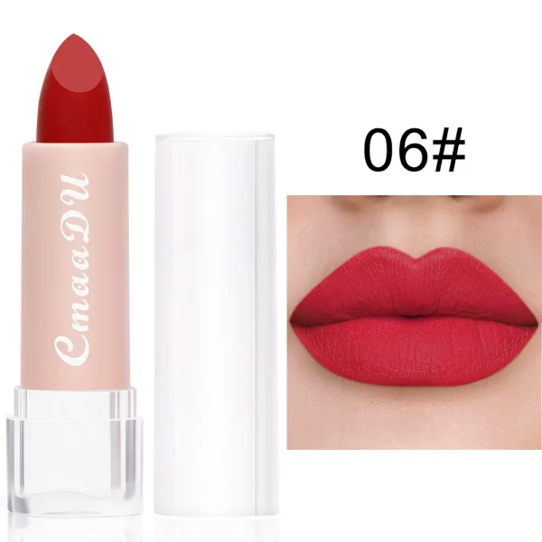 1PC Matte Nude Lipstick Waterproof Long Lasting Non-stick Cup Sexy Red Pink Velvet Lipsticks Women Makeup Cosmetic 15 Colors - Image 31