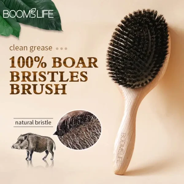 Boar Bristle HairBrush Wood Hair Brush Peine OAK Wood Combs for Women Barber Beauty Care Paddle Scalp Massage Brush - Image 2