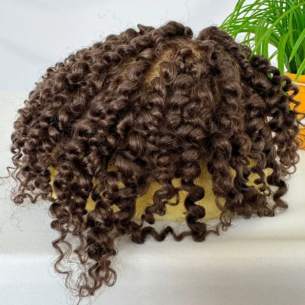 Mens Toupee Curly Human Hair Wigs Replacement Full Swiss Lace Toupee Hair Piece For Black Men's wig 10X8inch Brown #4 Color