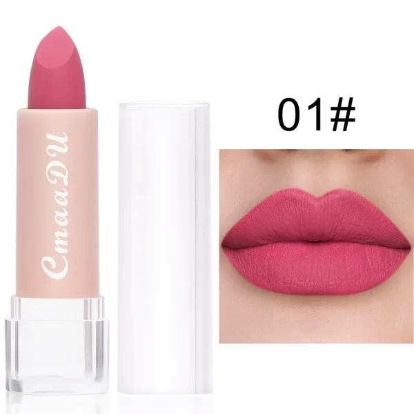 1PC Matte Nude Lipstick Waterproof Long Lasting Non-stick Cup Sexy Red Pink Velvet Lipsticks Women Makeup Cosmetic 15 Colors - Image 18